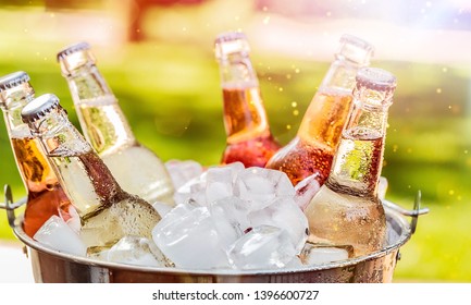 Cold Beers in Bucket Royalty-Free Stock Photo