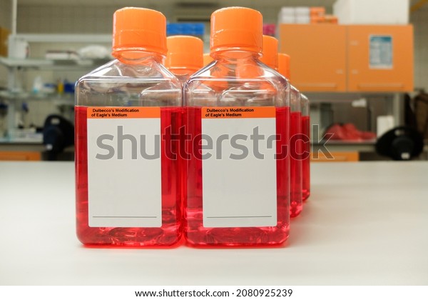 2 Eukaryotic Cell Blank Images Stock Photos Vectors Shutterstock   Bottles Dulbeccos Modified Eagles Medium 600w 2080925239 