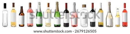 Bottles with empty labels isolated on white, set. Alcoholic drinks