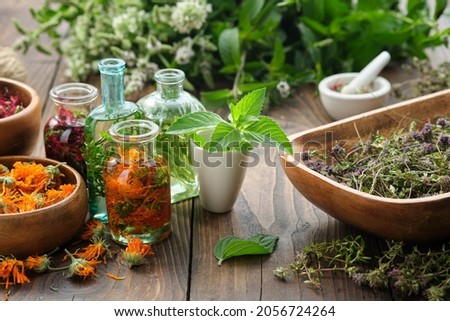 Bottles of essential oil or infusion of herbs - calendula, mint, thuja, monarda bergamot, rosemary.  Calendula, thyme, peppermint medicinal healing plants on table. Alternative herbal medicine. 