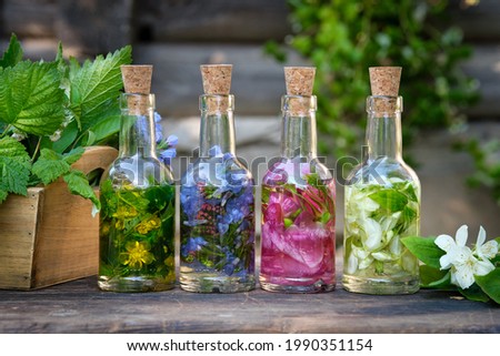 Bottles of essential oil or infusion of medicinal herbs, healing plants on wooden table. Alternative medicine. 