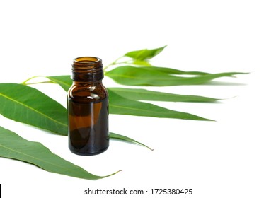 Bottles Of Eucalyptus Essential Oil On White Background