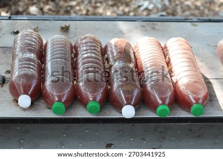 The bottles are filled with a reddish liquid, possibly a homemade concoction or a natural product