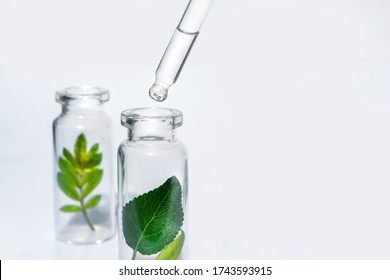 Bottles with herbs for natural essential oils and organic cosmetics on the white background. Concept of an eco laboratory for the production of natural products, supplement, cosmetics