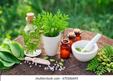Bottles of homeopathic globules, Thuja occidentalis, Plantago major drugs and mortar. Homeopathy medicine. - Shutterstock ID 670186693