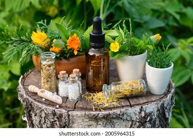 Bottles of homeopathy granules. Dropper bottle of tincture or oil. Homeopathic and naturopathic remedies. Calendula  flowers and juniper twigs in mortars. 