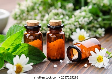 Bottles of homeopathy granules. Homeopathic remedies - Chamomilla, Mentha piperita. Daisies flowers and mint leaves on table. Homeopathy medicine concept. 