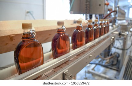 Bottles of maple syrup line a rack in a small syrup production facility on a farm in New Hampshire, USA. 