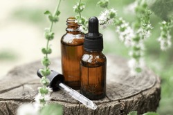 Panoramic header of essential oil bottles with wintergreen twigs, a ...