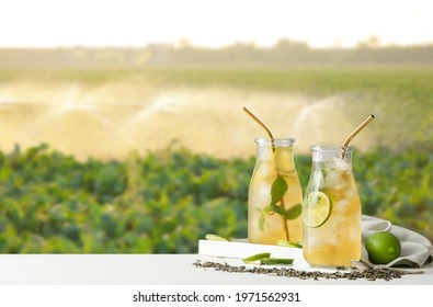 Bottles of tasty cold iced tea on table in field