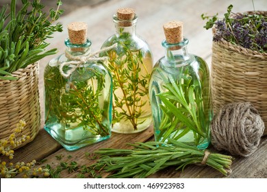 Bottles of thyme and rosemary essential oil or infusion, herbal medicine. - Powered by Shutterstock