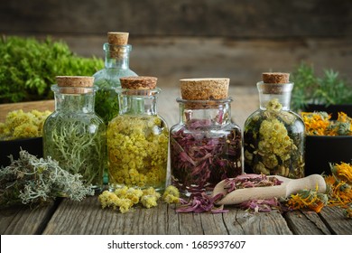 Bottles of tincture or infusion of healthy medicinal herbs and healing plants on wooden table. Herbal medicine.