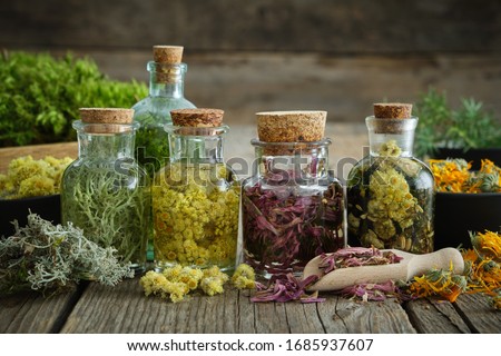 Bottles of tincture or infusion of healthy medicinal herbs and healing plants on wooden table. Herbal medicine.