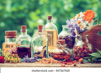 Bottles of tincture or potion and dry healthy herbs, bunch of healing herbs in wooden box on table outdoors. Herbal medicine. Retro styled. - Shutterstock ID 447367420
