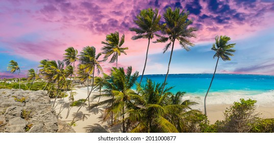 Bottom Bay is one of the most beautiful beaches on the Caribbean island of Barbados. It is a tropical paradise with palms hanging over turquoise sea. Wide panoramic sunset photo - Powered by Shutterstock