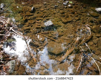 The Bottom Of The Brook, Stones And Brown Silt, Crystal Clear Water, A Slight Reflection Of The Sky And Trees