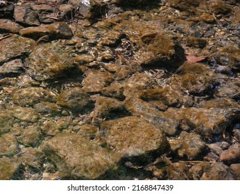 The Bottom Of The Brook, Stones And Brown Silt, Crystal Clear Water, A Slight Reflection Of The Sky And Trees