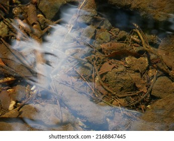 The Bottom Of The Brook, Stones And Brown Silt, Crystal Clear Water, A Slight Reflection Of The Sky And Trees