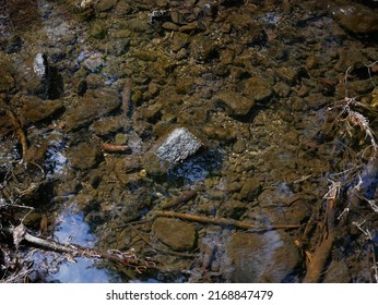 The Bottom Of The Brook, Stones And Brown Silt, Crystal Clear Water, A Slight Reflection Of The Sky And Trees