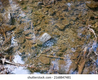 The Bottom Of The Brook, Stones And Brown Silt, Crystal Clear Water, A Slight Reflection Of The Sky And Trees