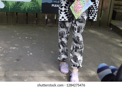 Bottom Half Of A Young Caucasian Female Legs Wearing Stylish Trouser And Jelly Sandals 