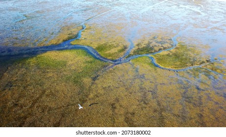 Bottom Of The Ocean In The Golf Of Morbihan