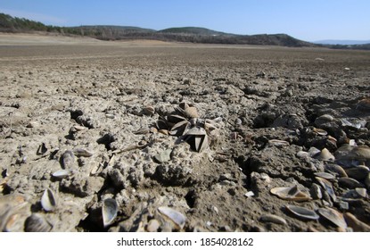 The Bottom Of The Reservoir During A Drought In The City Of Simferopol (Crimea, Crimean Peninsula).