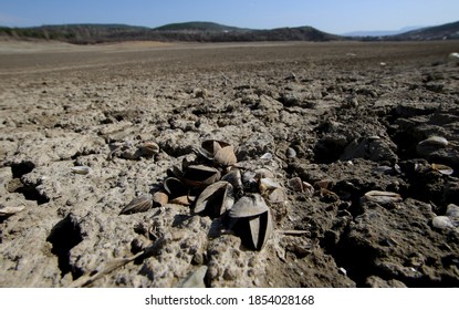 The Bottom Of The Reservoir During A Drought In The City Of Simferopol (Crimea, Crimean Peninsula).