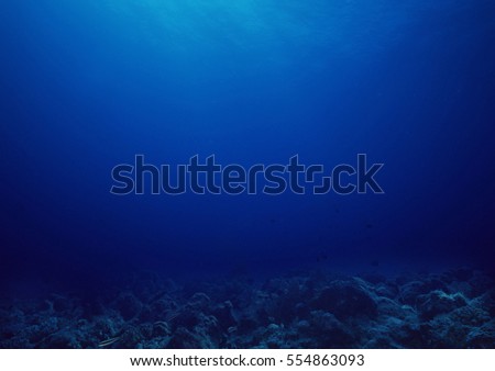 Bottom of the sea background.
