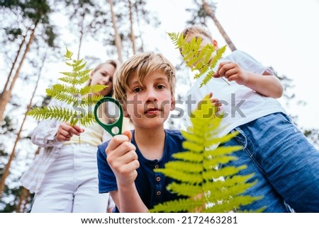 Bottom view of a cheerful funny boy with two friends holding fern branches and magnifying glass in a pine forest. Teaching child to love nature, summer camping concept.
