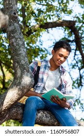 Bottom View Of Concentrated Teen Student Reading Book Under Tree