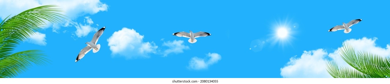 Bottom up view of seagulls and palm leaves flying in panoramic sunny blue sky