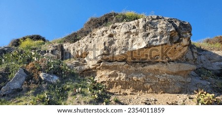 bottom view of sheer cliffs, stone ledge and growing cacti along the edges. beauty in nature. destination for travel, hiking and romantic evenings