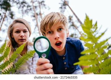 Bottom View Of A Surprised Faces Cheerful Funny Boy Holding Magnifying Glass. Children, A Boy And A Girl Explore Nature.Teaching Child To Love Nature, Summer Camping Concept.