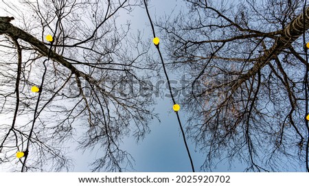 Similar – light chain Winter Tree