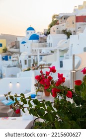 Bougainvillea And Greek Stucco Building In Fira Village On Santorini