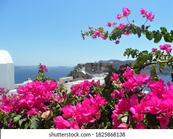 Bouganville Over Greek Sea Stock Photo 1825868138 | Shutterstock