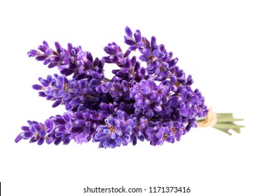 Bouguet of violet lavendula flowers isolated on white background, close up. - Shutterstock ID 1171373416