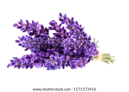 Bouguet of violet lavendula flowers isolated on white background, close up.
