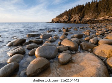 Boulder Beach In Acadia National Park At Sunrise