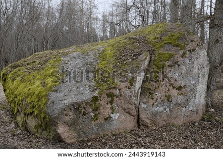 A boulder or bowlder (a rock fragment) in the forest