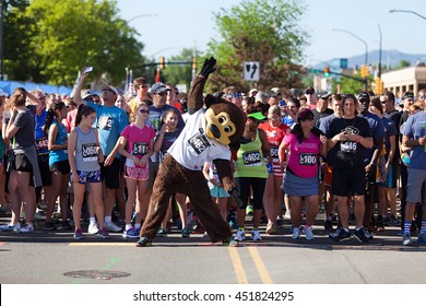 BOULDER, CO - May 25th, 2015: University Of Colorado Mascot Ralphie The Buffalo At The Bolder Boulder 10K Race In Boulder, Co. The Race Is The Largest Timed Race In The Country.