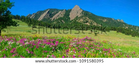 Boulder Colorado Iconic Flatirons with Foreground of Sweet Pea Blossoms