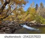 Boulder Creek in Fall Colors