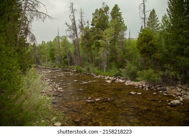 Boulder Creek In Wind River Range, Wyoming