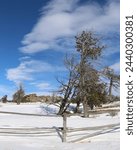 Boulder fields of Vedauwoo in Wyoming. Snow covered boulders in Medicine Bow -Routt National Park with bare trees. Vedauwoo boulders in morning sun with dark blue sky and wispy clouds in winter.