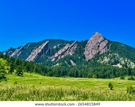 Boulder Flatirons and a Meadow