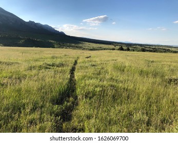 Boulder Foothills Hike In Colorado June 2019