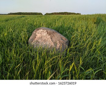 Boulder in the middle of a field
