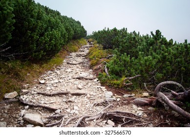 Boulder Road To High Tatra Mountains 